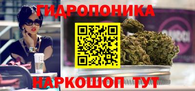 альфа пвп Новокубанск