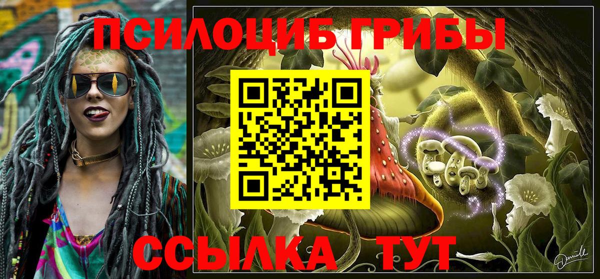 Галлюциногенные грибы Cubensis Сочи